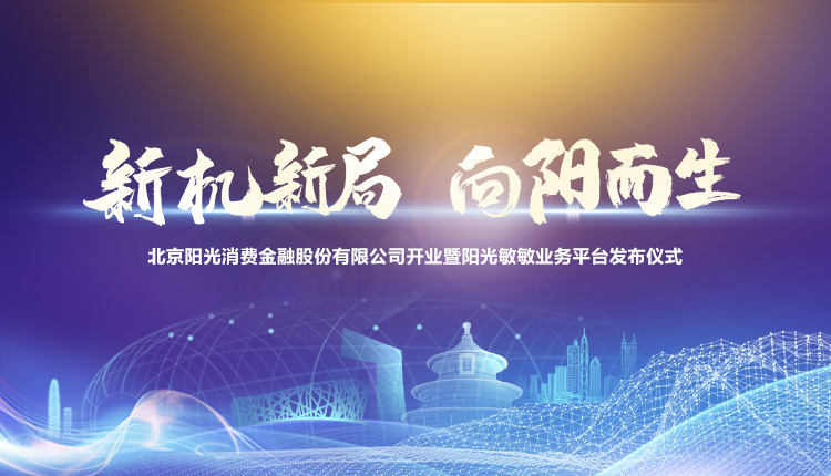 先导片